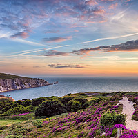 Buy canvas prints of Headon Hill Sunset 3 by Wight Landscapes
