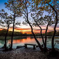 Buy canvas prints of Firestone Copse Sunset by Wight Landscapes