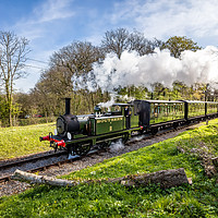 Buy canvas prints of A1X W11 Newport Steam Engine by Wight Landscapes