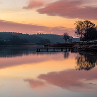Buy canvas prints of Dawn At The Old Millpond by Wight Landscapes