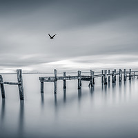 Buy canvas prints of The Jetty BW by Wight Landscapes