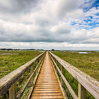 Buy canvas prints of The Walkway Newtown Isle Of Wight by Wight Landscapes