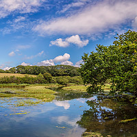 Buy canvas prints of Causeway Lake Newtown Isle Of Wight by Wight Landscapes