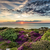 Buy canvas prints of Headon Hill Sunset #4 by Wight Landscapes