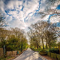 Buy canvas prints of The End Of The road by Wight Landscapes