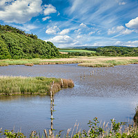 Buy canvas prints of Yarmouth Salt Marshes IOW by Wight Landscapes