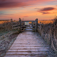 Buy canvas prints of Newtown Saltmarsh IOW by Wight Landscapes