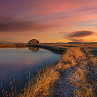 Buy canvas prints of Newtown Saltmarsh Sunrise by Wight Landscapes
