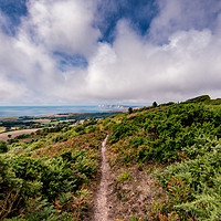 Buy canvas prints of Mottistone Common Footpath by Wight Landscapes