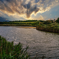 Buy canvas prints of Hersey Nature Reserve IOW by Wight Landscapes