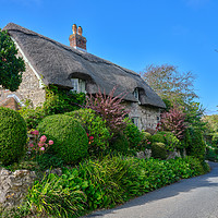Buy canvas prints of Godshill Cottage IOW by Wight Landscapes