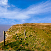 Buy canvas prints of Blackgang Coastal Path by Wight Landscapes