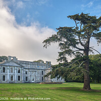 Buy canvas prints of Appuldurcombe House Isle Of Wight by Wight Landscapes