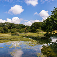Buy canvas prints of Newtown River Isle Of Wight by Wight Landscapes