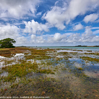 Buy canvas prints of Newtown Nature Reserve by Wight Landscapes