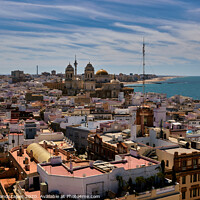 Buy canvas prints of Across The Rooftops Of Cadiz by Wight Landscapes