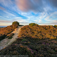 Buy canvas prints of Headon Hill Barrow by Wight Landscapes