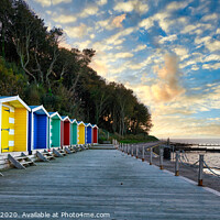 Buy canvas prints of Colwell Bay Beach Huts by Wight Landscapes