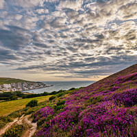 Buy canvas prints of Headon Hill And The Needles by Wight Landscapes
