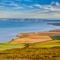Buy canvas prints of Blackgang To The Needles by Wight Landscapes