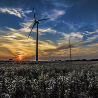 Buy canvas prints of twin wind turbines by jim wardle-young