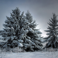 Buy canvas prints of In The Spirit Of Winter by heather rivet