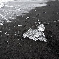 Buy canvas prints of Ice animal walking onto the beach by Jutta Klassen