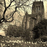 Buy canvas prints of Liverpool Anglican Cathedral Sepia by Sandra Buchanan