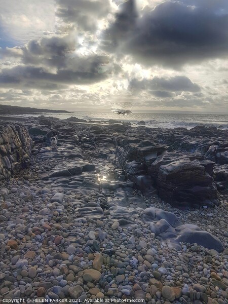 Pebbled beach of Ogmore by Sea Picture Board by HELEN PARKER