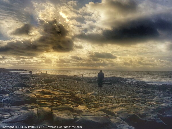Rocky beach walk at dusk Picture Board by HELEN PARKER