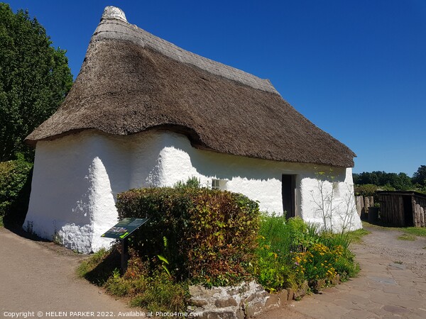 Historical thatched cottage at St Fagans Picture Board by HELEN PARKER