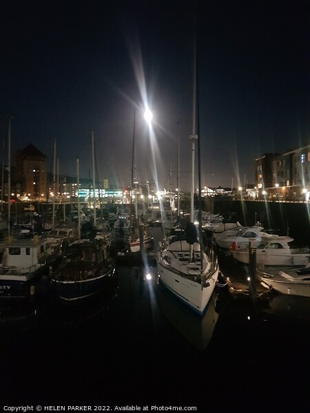Nightime on the Marina Picture Board by HELEN PARKER