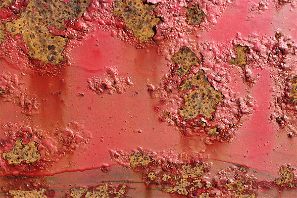 RUST IN RED Picture Board by HELEN PARKER