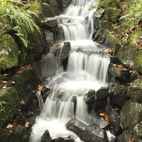 Buy canvas prints of Clyne Gardens Waterfall by HELEN PARKER