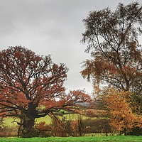 Buy canvas prints of Glorious Autumn by HELEN PARKER
