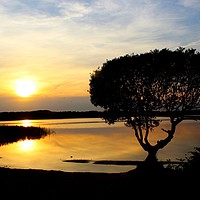 Buy canvas prints of Kenfig Pool Magical Sunset  by HELEN PARKER