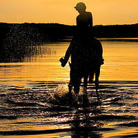 Buy canvas prints of Horse and rider silhouettes at sunset by HELEN PARKER
