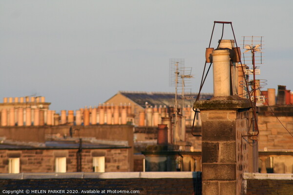 Edinburgh Rooftops and Chimneys  Picture Board by HELEN PARKER