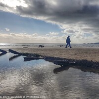 Buy canvas prints of Beach Walker and dog by HELEN PARKER