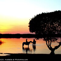 Buy canvas prints of Sunset at Kenfig Pool with visiting horses by HELEN PARKER
