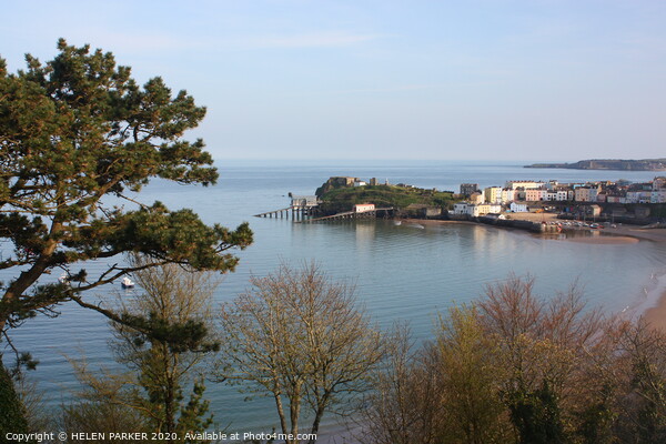 Tenby, a beautiful harbour town Picture Board by HELEN PARKER