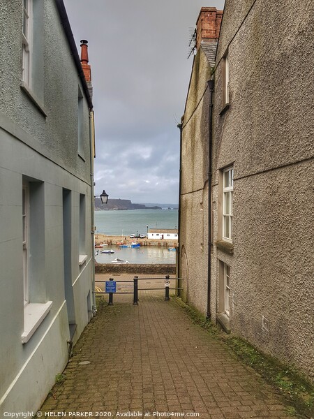 A view of Tenby Harbour from street Picture Board by HELEN PARKER