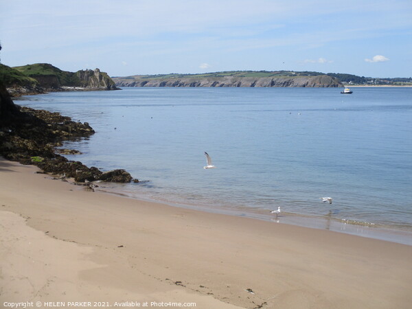 Beach at Caldy Island, Pembrokeshire Picture Board by HELEN PARKER