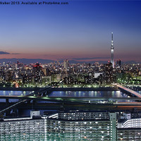 Buy canvas prints of Skytree Dominates Tokyo Skyline by Duane Walker