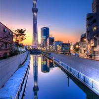 Buy canvas prints of Tokyo Skytree Reflected by Duane Walker