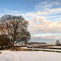Buy canvas prints of Rudston A Snowy Scene by David Hollingworth