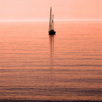 Buy canvas prints of Morning Sail by David Hollingworth
