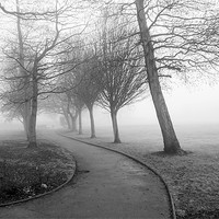Buy canvas prints of One Foggy Morning by David Hollingworth