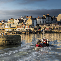 Buy canvas prints of A Working Harbour by David Hollingworth