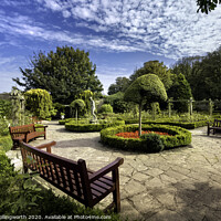 Buy canvas prints of Walled Garden by David Hollingworth